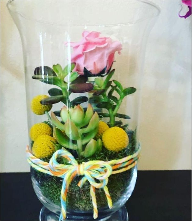 Terrarium rose et succulentes